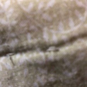 Meet your Posher, Aliza